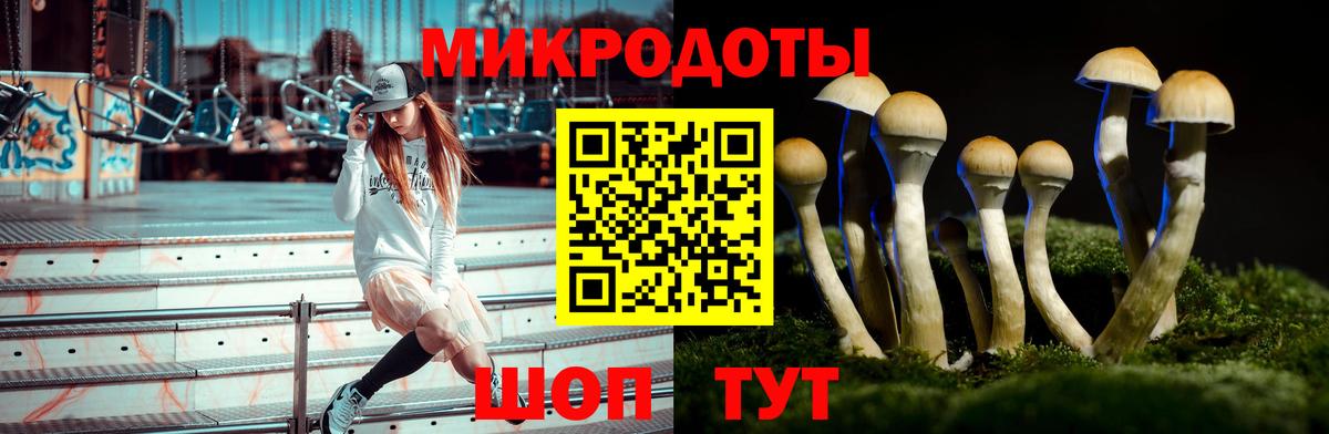 Галлюциногенные грибы Magic Shrooms  Вход с VPN  Артём 