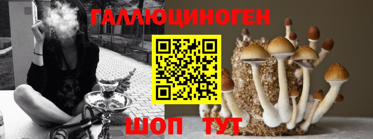 Галлюциногенные грибы ЛСД Артём