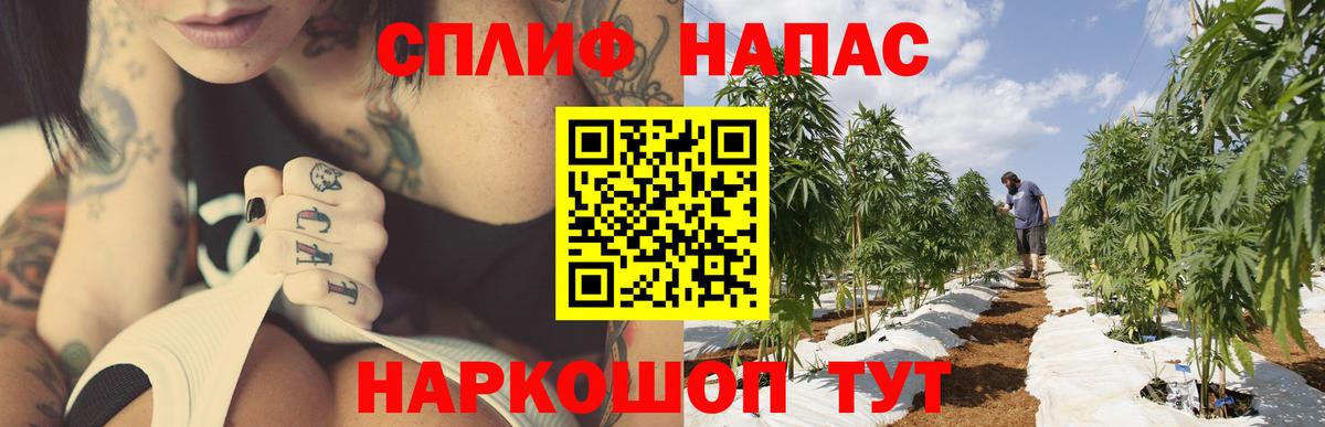 Конопля VHQ  Канабис семена  Вход с VPN  Артём 
